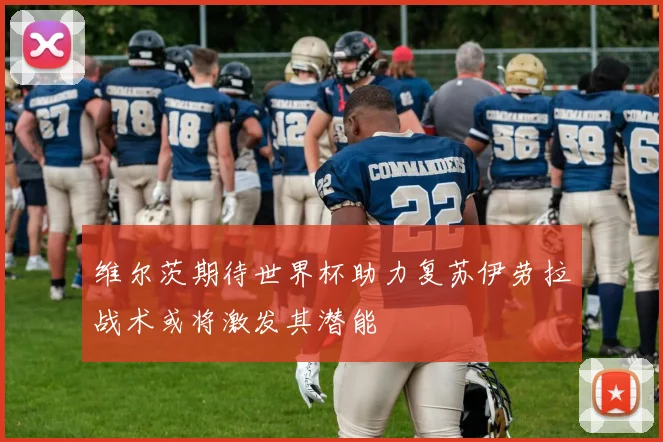 维尔茨期待世界杯助力复苏伊劳拉战术或将激发其潜能